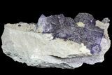 Cubic Fluorite Crystals on Matrix - Elmwood Mine #89955-2